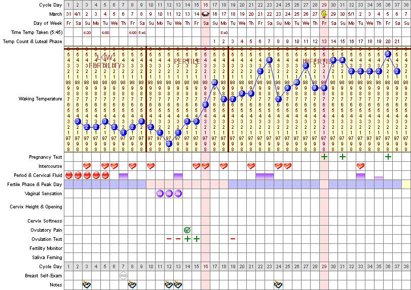 Printable Basal Temperature Chart